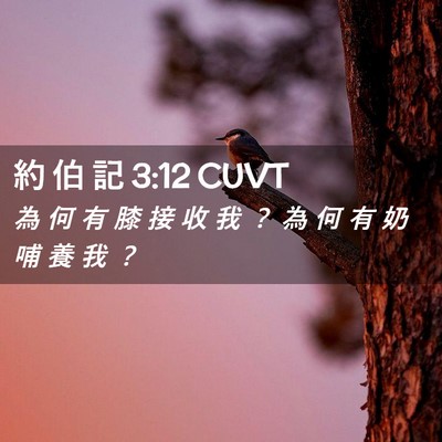 Picture 02 - 約 伯 記 3:12 CUVT - 為 何 有 膝 接 收 我 ？ 為 何 有 奶 - Bible Verse Picture