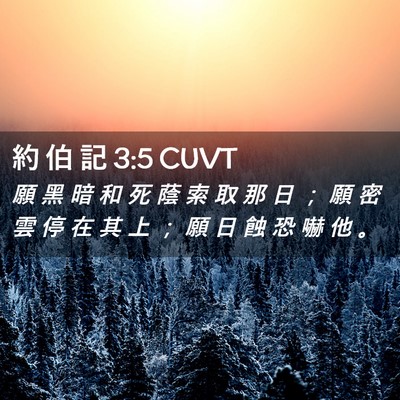 Picture 02 - 約 伯 記 3:5 CUVT - 願 黑 暗 和 死 蔭 索 取 那 日 ； 願 - Bible Verse Picture