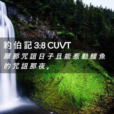 Picture 02 - 約 伯 記 3:8 CUVT - 願 那 咒 詛 日 子 且 能 惹 動 鱷 魚 - Bible Verse Picture