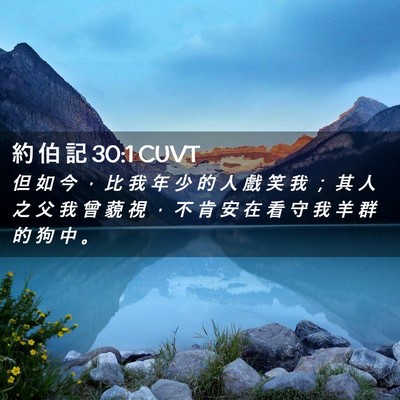 Picture 02 - 約 伯 記 30:1 CUVT - 但 如 今 ， 比 我 年 少 的 人 戲 笑 - Bible Verse Picture
