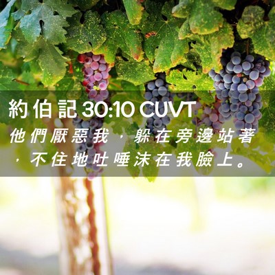 Picture 02 - 約 伯 記 30:10 CUVT - 他 們 厭 惡 我 ， 躲 在 旁 邊 站 著 - Bible Verse Picture