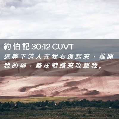 Picture 02 - 約 伯 記 30:12 CUVT - 這 等 下 流 人 在 我 右 邊 起 來 ， - Bible Verse Picture