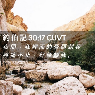 Picture 02 - 約 伯 記 30:17 CUVT - 夜 間 ， 我 裡 面 的 骨 頭 刺 我 ， - Bible Verse Picture