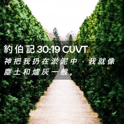 Picture 02 - 約 伯 記 30:19 CUVT - 神 把 我 扔 在 淤 泥 中 ， 我 就 像 - Bible Verse Picture