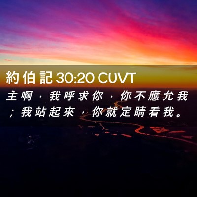Picture 02 - 約 伯 記 30:20 CUVT - 主 啊 ， 我 呼 求 你 ， 你 不 應 允 - Bible Verse Picture