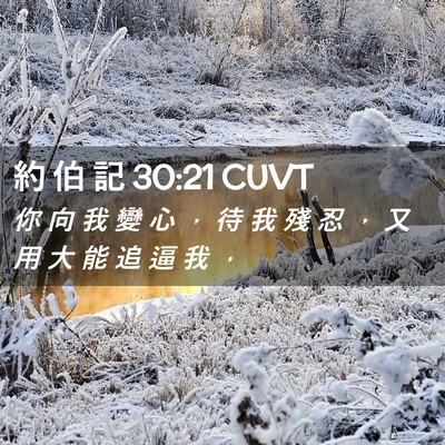 Picture 02 - 約 伯 記 30:21 CUVT - 你 向 我 變 心 ， 待 我 殘 忍 ， 又 - Bible Verse Picture