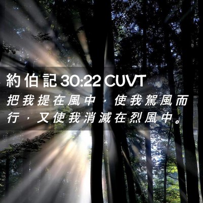 Picture 02 - 約 伯 記 30:22 CUVT - 把 我 提 在 風 中 ， 使 我 駕 風 而 - Bible Verse Picture