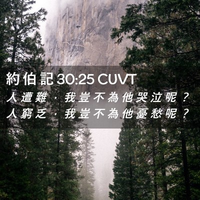 Picture 02 - 約 伯 記 30:25 CUVT - 人 遭 難 ， 我 豈 不 為 他 哭 泣 呢 - Bible Verse Picture