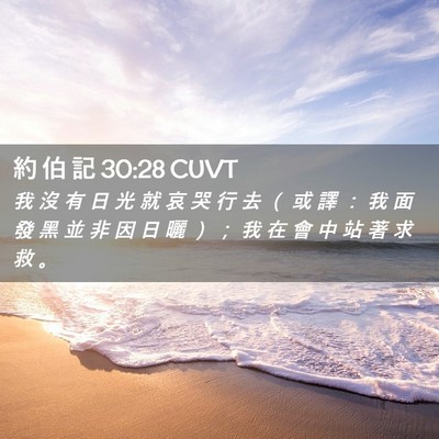 Picture 02 - 約 伯 記 30:28 CUVT - 我 沒 有 日 光 就 哀 哭 行 去 （ 或 - Bible Verse Picture