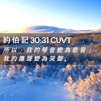 Picture 02 - 約 伯 記 30:31 CUVT - 所 以 ， 我 的 琴 音 變 為 悲 音 ； - Bible Verse Picture