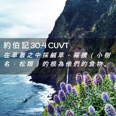 Picture 02 - 約 伯 記 30:4 CUVT - 在 草 叢 之 中 採 鹹 草 ， 羅 騰 （ - Bible Verse Picture