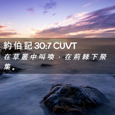 Picture 02 - 約 伯 記 30:7 CUVT - 在 草 叢 中 叫 喚 ， 在 荊 棘 下 聚 - Bible Verse Picture
