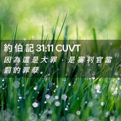 Picture 02 - 約 伯 記 31:11 CUVT - 因 為 這 是 大 罪 ， 是 審 判 官 當 - Bible Verse Picture