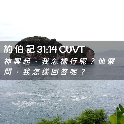 Picture 02 - 約 伯 記 31:14 CUVT - 神 興 起 ， 我 怎 樣 行 呢 ？ 他 察 - Bible Verse Picture
