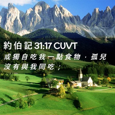 Picture 02 - 約 伯 記 31:17 CUVT - 或 獨 自 吃 我 一 點 食 物 ， 孤 兒 - Bible Verse Picture