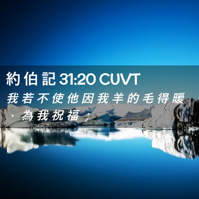Picture 02 - 約 伯 記 31:20 CUVT - 我 若 不 使 他 因 我 羊 的 毛 得 暖 - Bible Verse Picture