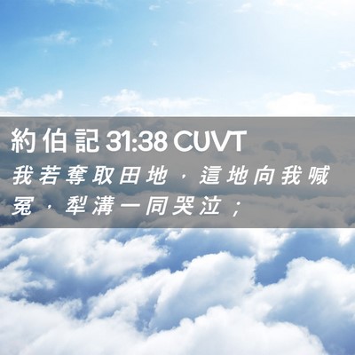 Picture 02 - 約 伯 記 31:38 CUVT - 我 若 奪 取 田 地 ， 這 地 向 我 喊 - Bible Verse Picture