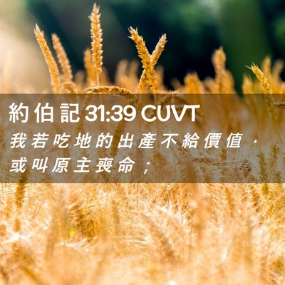 Picture 02 - 約 伯 記 31:39 CUVT - 我 若 吃 地 的 出 產 不 給 價 值 ， - Bible Verse Picture