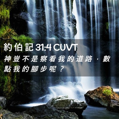 Picture 02 - 約 伯 記 31:4 CUVT - 神 豈 不 是 察 看 我 的 道 路 ， 數 - Bible Verse Picture