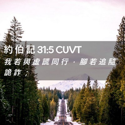 Picture 02 - 約 伯 記 31:5 CUVT - 我 若 與 虛 謊 同 行 ， 腳 若 追 隨 - Bible Verse Picture