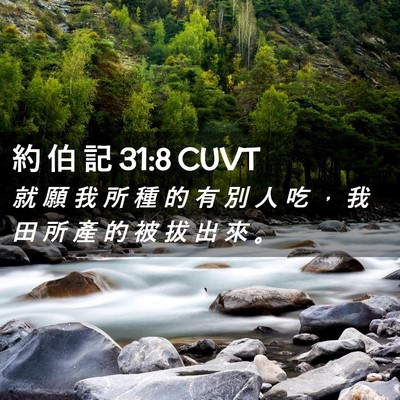 Picture 02 - 約 伯 記 31:8 CUVT - 就 願 我 所 種 的 有 別 人 吃 ， 我 - Bible Verse Picture