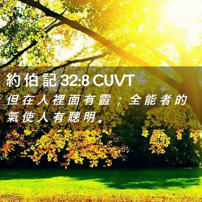 Picture 02 - 約 伯 記 32:8 CUVT - 但 在 人 裡 面 有 靈 ； 全 能 者 的 - Bible Verse Picture