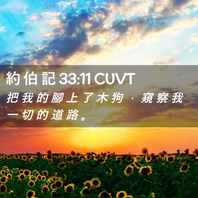 Picture 02 - 約 伯 記 33:11 CUVT - 把 我 的 腳 上 了 木 狗 ， 窺 察 我 - Bible Verse Picture