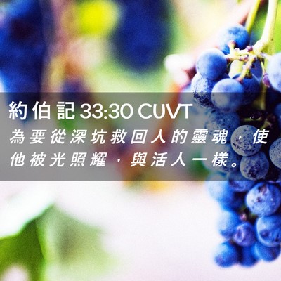 Picture 02 - 約 伯 記 33:30 CUVT - 為 要 從 深 坑 救 回 人 的 靈 魂 ， - Bible Verse Picture