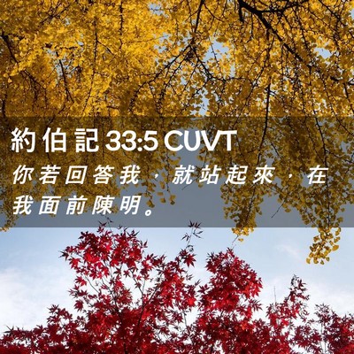 Picture 02 - 約 伯 記 33:5 CUVT - 你 若 回 答 我 ， 就 站 起 來 ， 在 - Bible Verse Picture