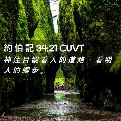 Picture 02 - 約 伯 記 34:21 CUVT - 神 注 目 觀 看 人 的 道 路 ， 看 明 - Bible Verse Picture