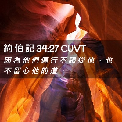 Picture 02 - 約 伯 記 34:27 CUVT - 因 為 他 們 偏 行 不 跟 從 他 ， 也 - Bible Verse Picture