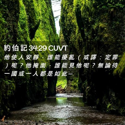 Picture 02 - 約 伯 記 34:29 CUVT - 他 使 人 安 靜 ， 誰 能 擾 亂 （ 或 - Bible Verse Picture