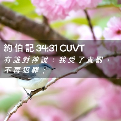 Picture 02 - 約 伯 記 34:31 CUVT - 有 誰 對 神 說 ： 我 受 了 責 罰 ， - Bible Verse Picture