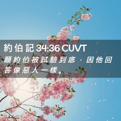 Picture 02 - 約 伯 記 34:36 CUVT - 願 約 伯 被 試 驗 到 底 ， 因 他 回 - Bible Verse Picture
