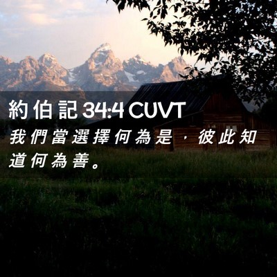 Picture 02 - 約 伯 記 34:4 CUVT - 我 們 當 選 擇 何 為 是 ， 彼 此 知 - Bible Verse Picture