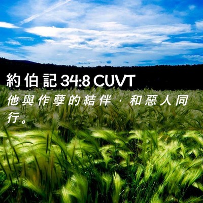Picture 02 - 約 伯 記 34:8 CUVT - 他 與 作 孽 的 結 伴 ， 和 惡 人 同 - Bible Verse Picture