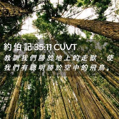 Picture 02 - 約 伯 記 35:11 CUVT - 教 訓 我 們 勝 於 地 上 的 走 獸 ， - Bible Verse Picture