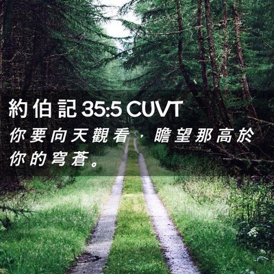 Picture 02 - 約 伯 記 35:5 CUVT - 你 要 向 天 觀 看 ， 瞻 望 那 高 於 - Bible Verse Picture