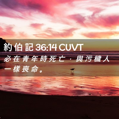 Picture 02 - 約 伯 記 36:14 CUVT - 必 在 青 年 時 死 亡 ， 與 污 穢 人 - Bible Verse Picture