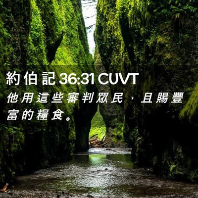 Picture 02 - 約 伯 記 36:31 CUVT - 他 用 這 些 審 判 眾 民 ， 且 賜 豐 - Bible Verse Picture