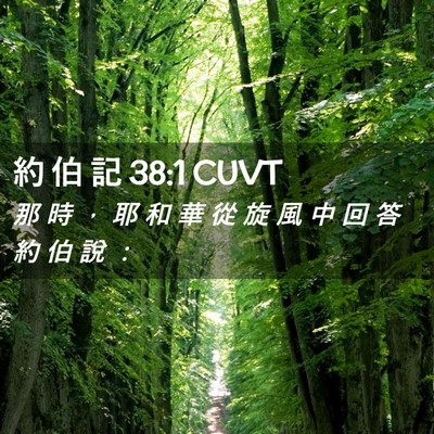 Picture 02 - 約 伯 記 38:1 CUVT - 那 時 ， 耶 和 華 從 旋 風 中 回 答 - Bible Verse Picture