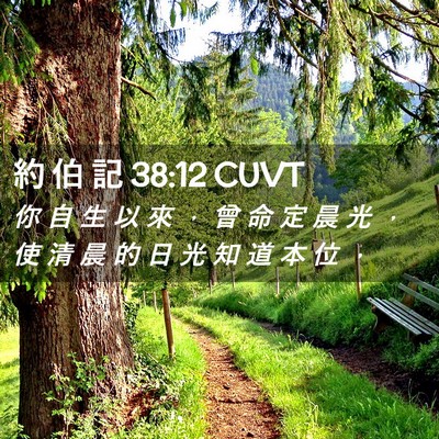 Picture 02 - 約 伯 記 38:12 CUVT - 你 自 生 以 來 ， 曾 命 定 晨 光 ， - Bible Verse Picture