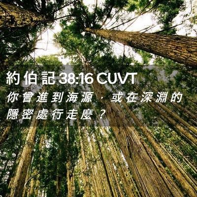 Picture 02 - 約 伯 記 38:16 CUVT - 你 曾 進 到 海 源 ， 或 在 深 淵 的 - Bible Verse Picture