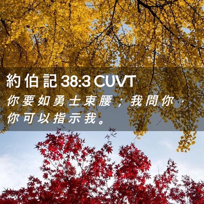 Picture 02 - 約 伯 記 38:3 CUVT - 你 要 如 勇 士 束 腰 ； 我 問 你 ， - Bible Verse Picture