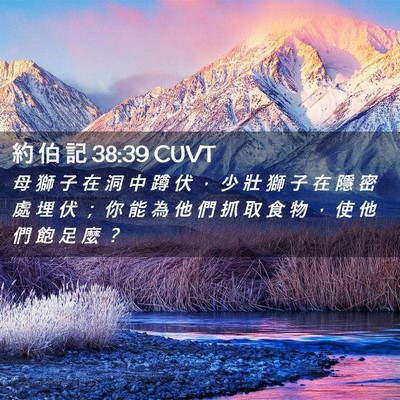 Picture 02 - 約 伯 記 38:39 CUVT - 母 獅 子 在 洞 中 蹲 伏 ， 少 壯 獅 - Bible Verse Picture