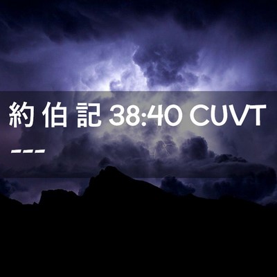 Picture 02 - 約 伯 記 38:40 CUVT -  - Bible Verse Picture