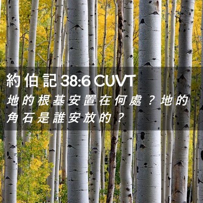 Picture 02 - 約 伯 記 38:6 CUVT - 地 的 根 基 安 置 在 何 處 ？ 地 的 - Bible Verse Picture