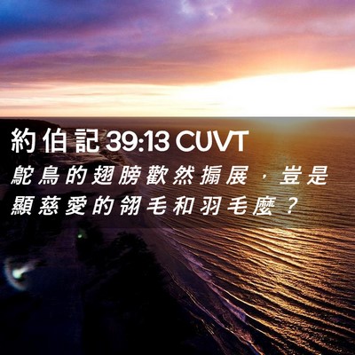 Picture 02 - 約 伯 記 39:13 CUVT - 鴕 鳥 的 翅 膀 歡 然 搧 展 ， 豈 是 - Bible Verse Picture