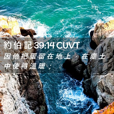 Picture 02 - 約 伯 記 39:14 CUVT - 因 他 把 蛋 留 在 地 上 ， 在 塵 土 - Bible Verse Picture