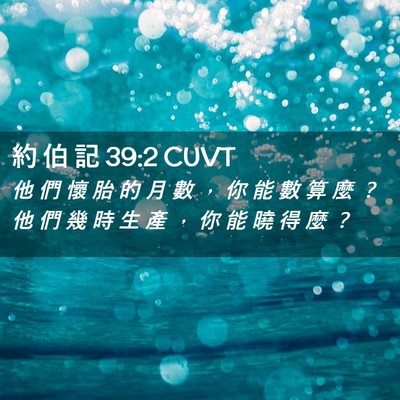 Picture 02 - 約 伯 記 39:2 CUVT - 他 們 懷 胎 的 月 數 ， 你 能 數 算 - Bible Verse Picture